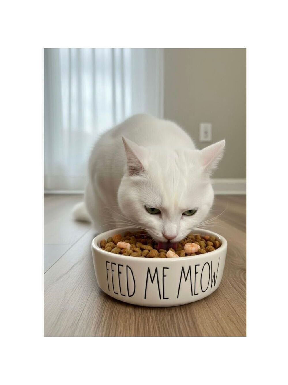 Rae Dunn "Feed Me Meow" cat bowl